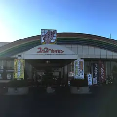 天然温泉 ユーユー・カイカン