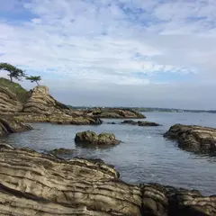 荒崎公園
