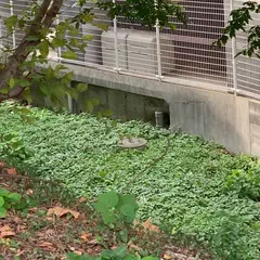 伝・沖田総司終焉の地