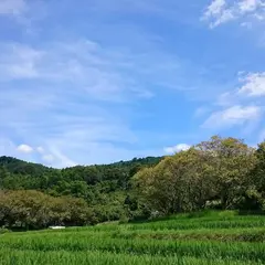 国営飛鳥歴史公園石舞台地区