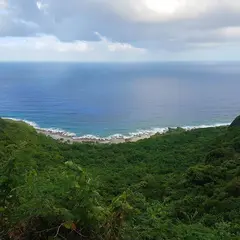 Swimming Hole（スイミングホール）