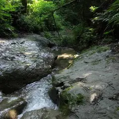 陣ケ下渓谷公園