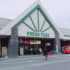 ＰＬＡＮＴ−５大玉店