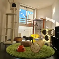 ネコホテル ねこびより