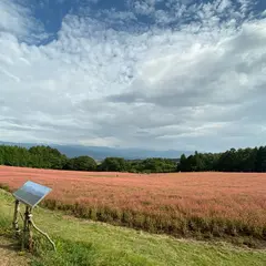 赤そばの里