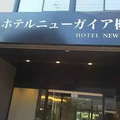 ホテルニューガイア 柳川