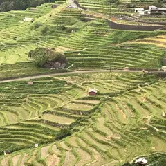 丸山千枚田