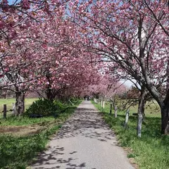 秋元牧場