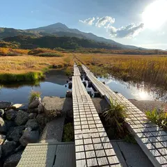 竜ケ原湿原