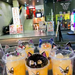 猫甜茶室capioca 