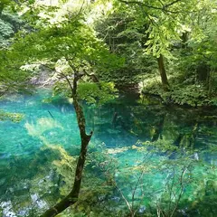 沸壺の池