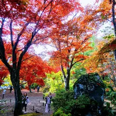 もみじ園【紅葉の名所】