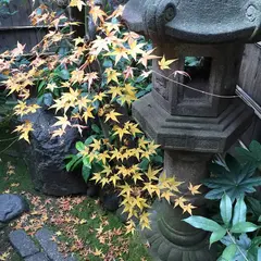 ゲストハウスひつじ庵