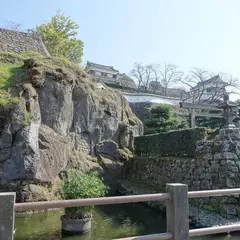 臼杵城跡(丹生島城跡)