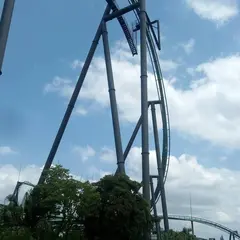 ザ・フライング・ダイナソー