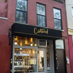 Catbird