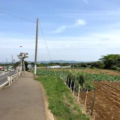 三浦市農協 みかん狩り組合事務局