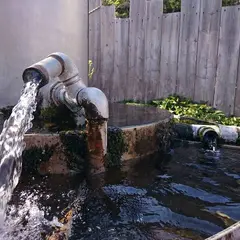 湧き水