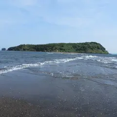 知林ヶ島