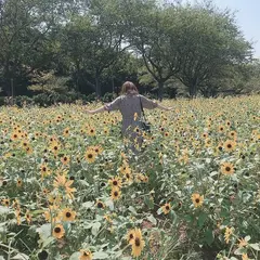 成田ゆめ牧場