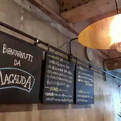 Macauda マカウダ