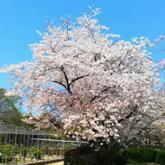 タイムズ福岡城三の丸