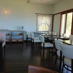 オリーヴの木