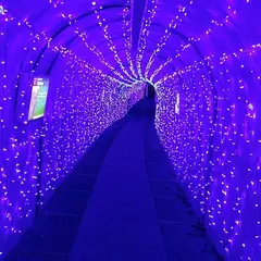 親水公園（たるまの滝）