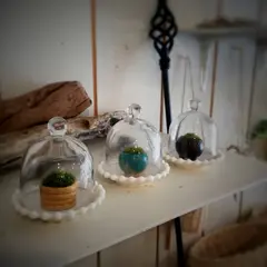 atelier leaf
