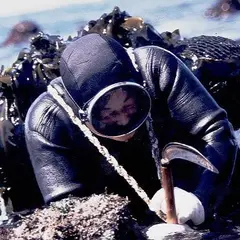 地場魚貝料理 呑海（どんかい）