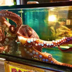 海光房