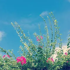 ナンマムイネイチャーリゾート ホテル＆グランピング