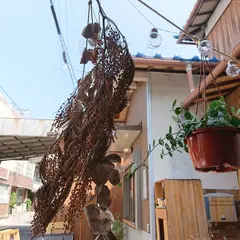 マルドット