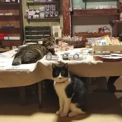 うみねこ社