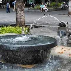 カエルの噴水