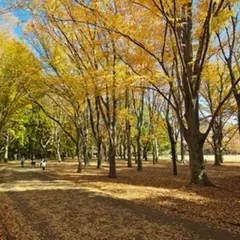 小金井公園