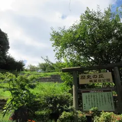 歴史の丘展望台公園