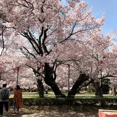 伊那公園