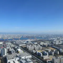 さきしまコスモタワー展望台/大阪府咲洲庁舎展望台