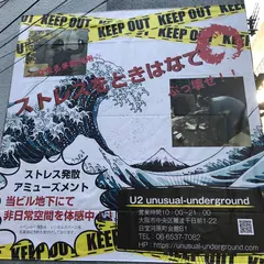 U2 unusual underground
