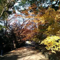 丈六寺