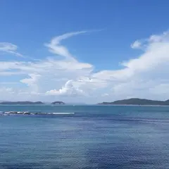 加太