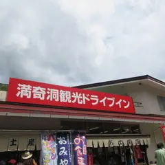 満奇洞 観光 ドライブイン