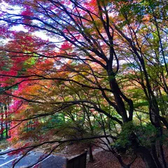 葛尾大尽屋敷跡公園