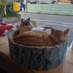 猫カフェ NINE