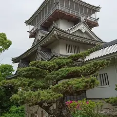 岩崎城