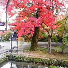 玉龍寺