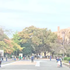鶴舞公園