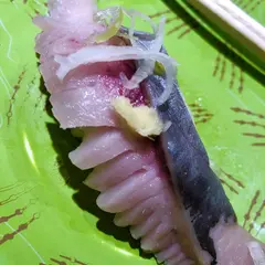 根室花まる JRタワーステラプレイス店