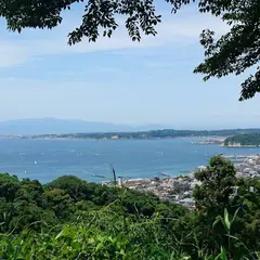 神奈川県立葉山公園/はやま三ヶ岡山緑地